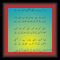 Ghazal Wafa 01 * 10.06.2007 * 399 x 741 * (36KB)